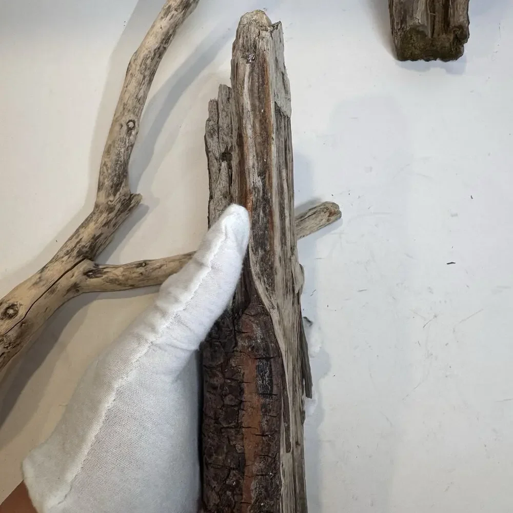 Driftwood 3 Piece Lot Natural Aquarium Terrarium Beach Decor Taxidermy Y Shaped